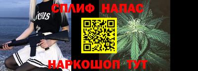 СК Ставрополь