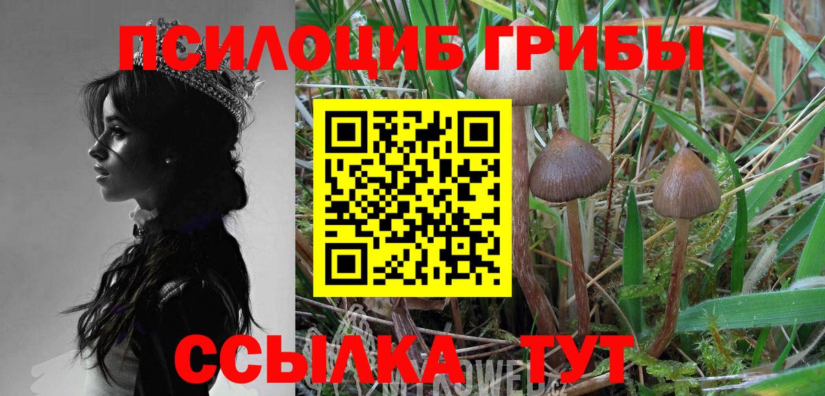 Галлюциногенные грибы мухоморы Новошахтинск