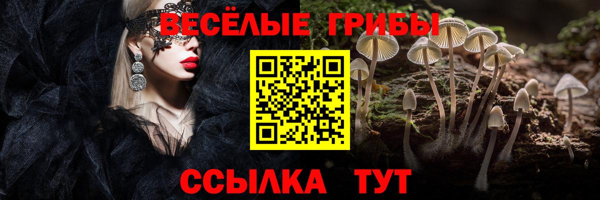 Псилоцибиновые грибы Psilocybe  Вход с VPN  Новошахтинск 